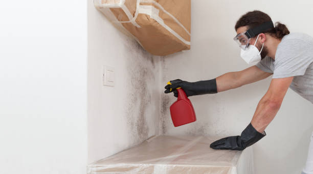 Professional Bathroom Mold Removal technician working in Peabody, MA