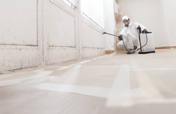 24/7 Emergency Bathroom Mold Removal experts in Peabody, MA