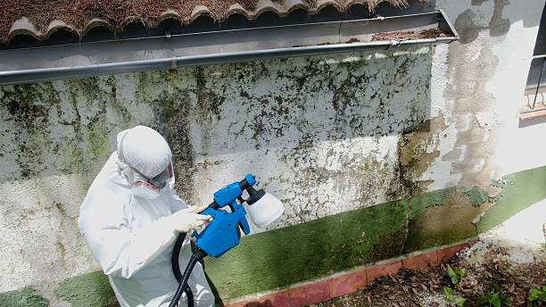 Top rated local Bathroom Mold Removal specialists in Peabody, MA